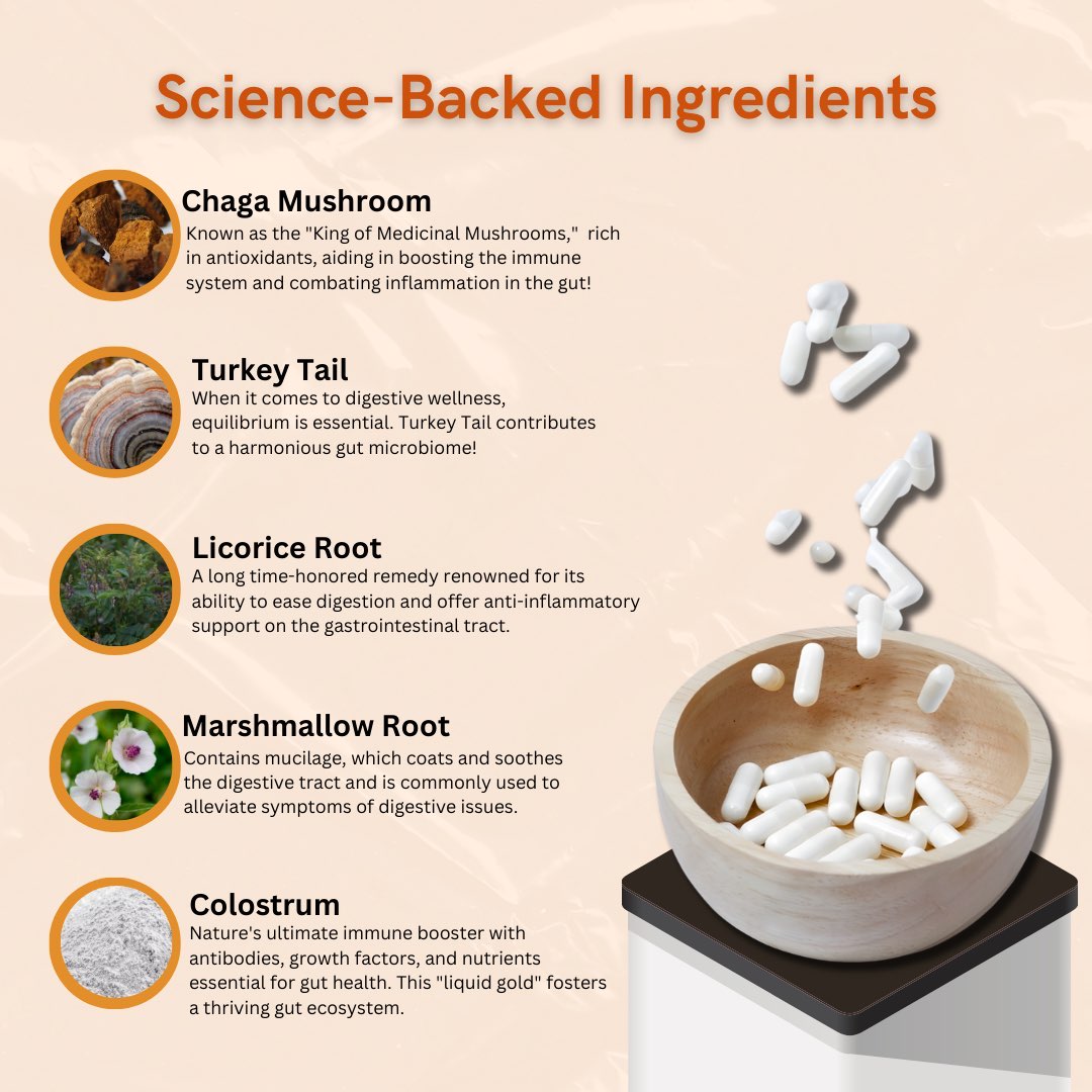 Gut Health Mushrooms Ingredients