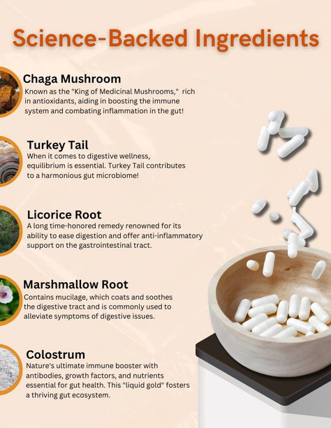 Gut Health + Clarity